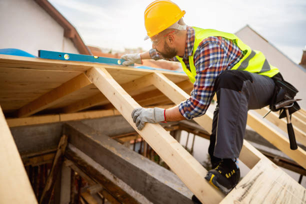 Best Roof Gutter Cleaning  in Ramseur, NC
