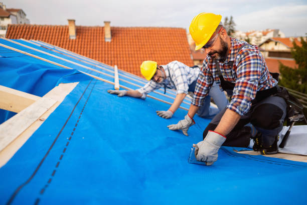Best Roof Gutter Cleaning  in Ramseur, NC